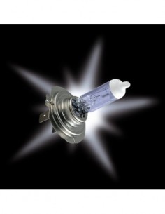 LAMPADINE EFFETTO XENON H1 PIAA NINONA 55-100w