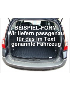 VASCA PORTABAGAGLI NISSAN ALMERA TINO dal 2000-