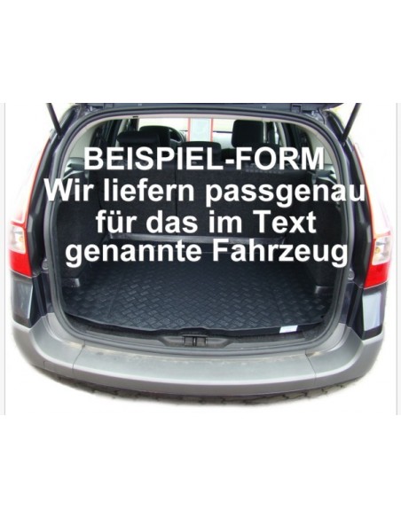 VASCA PORTABAGAGLI NISSAN ALMERA TINO dal 2000-