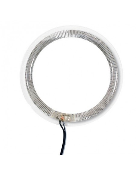ANELLI ANGEL EYES - MULTI-LED RINGS BIANCO