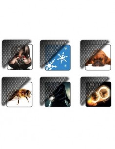 PELLICOLA OSCURANTE VETRI ANTIGRAFFIO SEAT LEON (5F) dal...